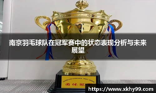 南京羽毛球队在冠军赛中的状态表现分析与未来展望