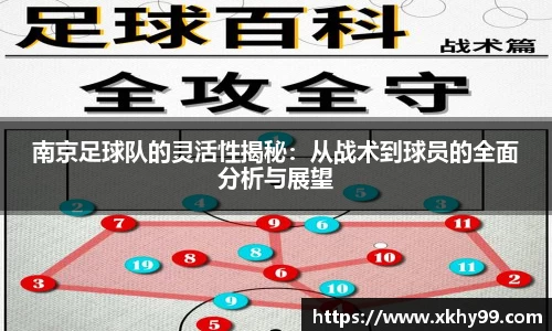南京足球队的灵活性揭秘：从战术到球员的全面分析与展望